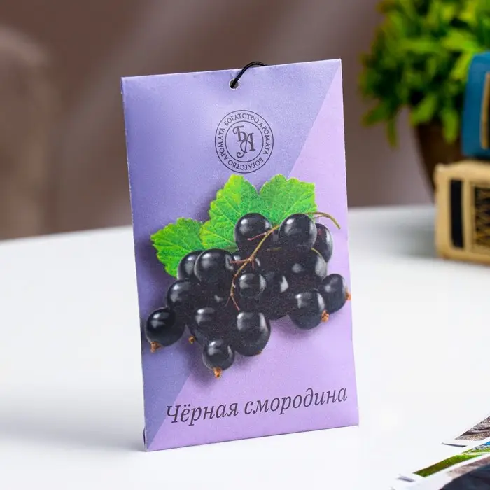 Аромасаше "Чёрная смородина", 10 г, "Богатство Аромата"