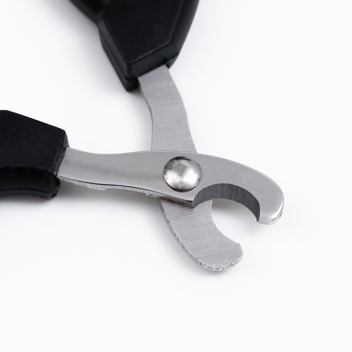 Ножницы-когтерезы  Ножницы-когтерезы "Пижон" Premium с эргономичной ручкой, чёрно-бежевые