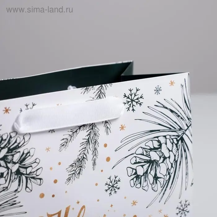 Пакет подарочный ламинированный квадратный «Еловые шишки», 22×22×11 см Пакет подарочный ламинированный квадратный «Еловые шишки», 22×22×11 см