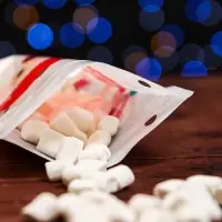 Пакет подарочный новогодний &laquo;Санта&raquo;, с zip - lock застежкой, 18&times;22 см