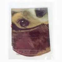 Воздушный шар фольгированный 30" "Щенок в колпаке"