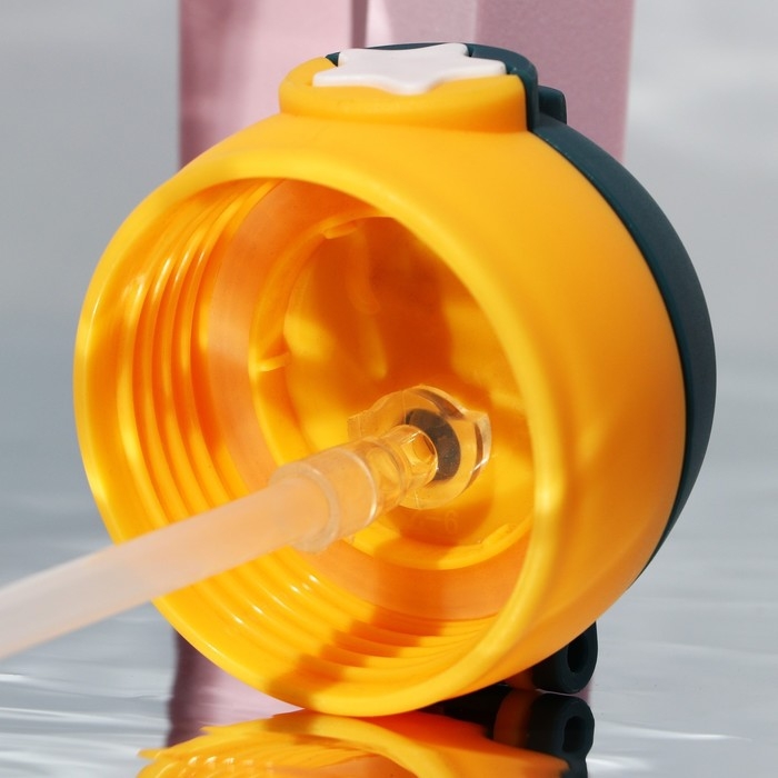 Бутылка для воды «Иду гулять в любую погоду», 750 мл Бутылка для воды «Иду гулять в любую погоду», 750 мл