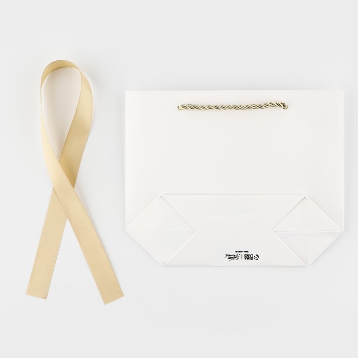 Пакет подарочный новогодний «С Новым годом», 21 х 17 х 7 см Пакет подарочный новогодний «С Новым годом», 21 х 17 х 7 см