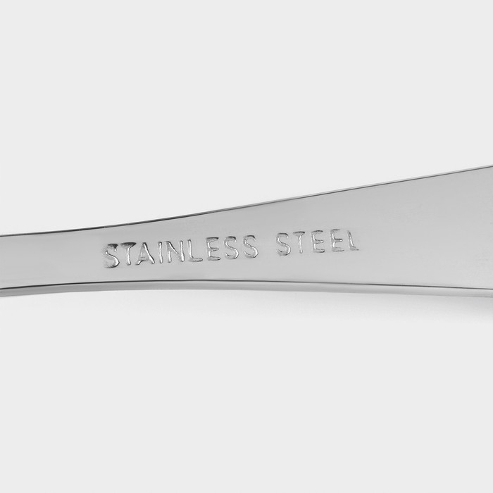 Ложки столовые из нержавеющей стали Доляна «Букет», длина 20,5 см, 6 шт, цвет серебряный Ложки столовые из нержавеющей стали Доляна «Букет», длина 20,5 см, 6 шт, цвет серебряный