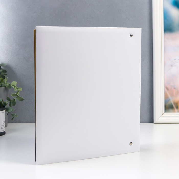 Фотоальбом 50 магнитных листов (100стр) Фотоальбом 50 магнитных листов (100стр) "Веточка" 23х28 см