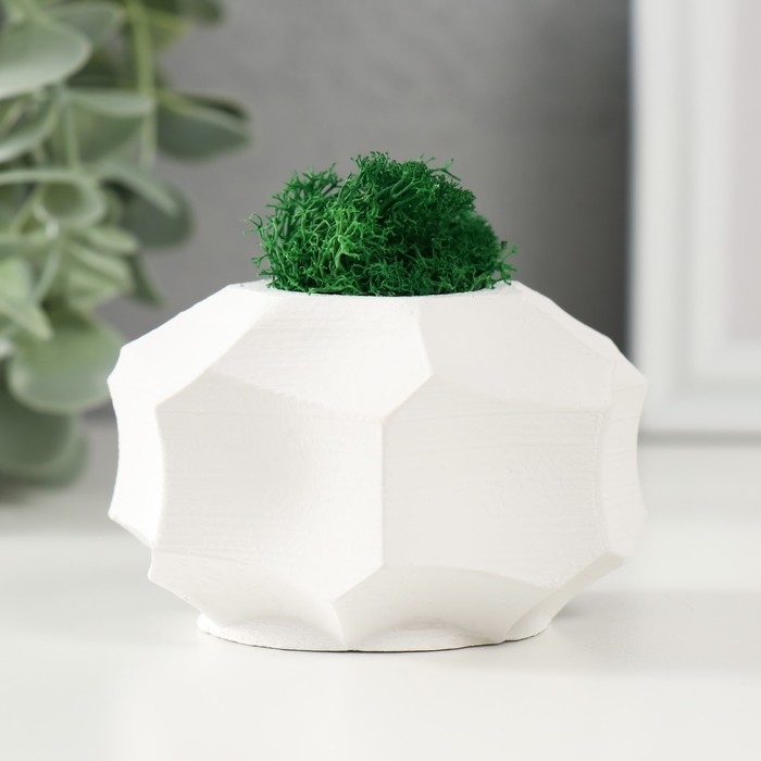Кашпо бетонное Кашпо бетонное "Грани" со мхом белый 7,5х7,5х5 см (мох зеленый стабилизированный)
