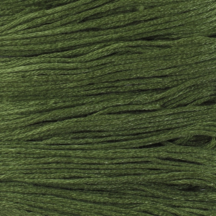 Набор ниток мулине №3363, 8 ± 1 м, 6 шт, цвет сосновый Набор ниток мулине №3363, 8 ± 1 м, 6 шт, цвет сосновый