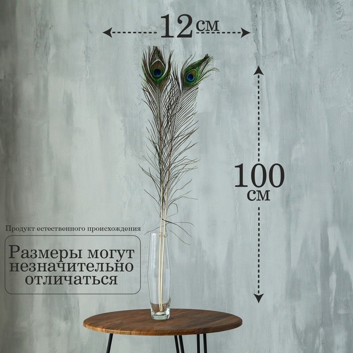 Перо павлина для декора, 1 шт. Перо павлина для декора, 1 шт.