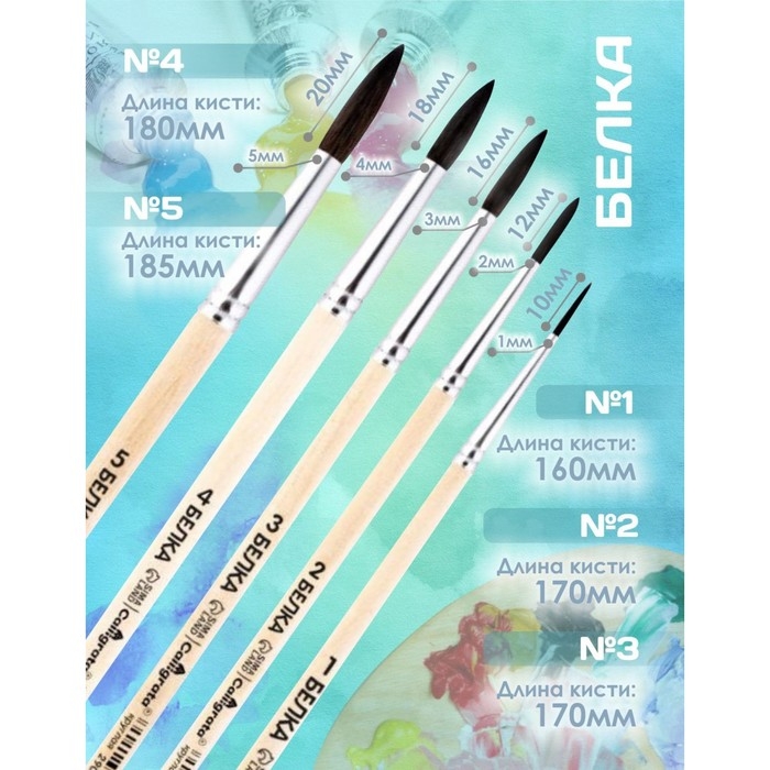 Набор кистей Белка 5 штук, Calligrata №4 (круглые №: 1, 2, 3, 4, 5), деревянная ручка, в пенале Набор кистей Белка 5 штук, Calligrata №4 (круглые №: 1, 2, 3, 4, 5), деревянная ручка, в пенале