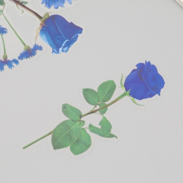 Наклейки пластик Наклейки пластик "Цветы и цитаты. Голубые" набор 12 шт 8,5х21,5х0,2 см