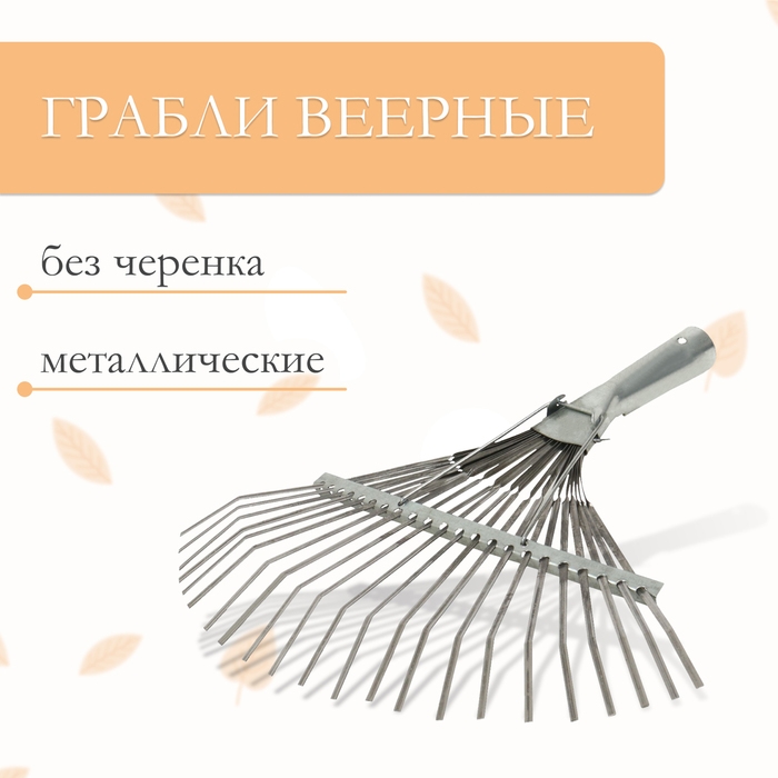 Грабли веерные, пластинчатые, 22 зубца, оцинкованная сталь, тулейка 30 мм, без черенка Грабли веерные, пластинчатые, 22 зубца, оцинкованная сталь, тулейка 30 мм, без черенка