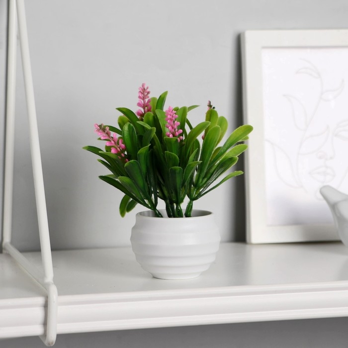 Бонсай в горшке Бонсай в горшке "Гадючий лук" 5,5х10 см, микс