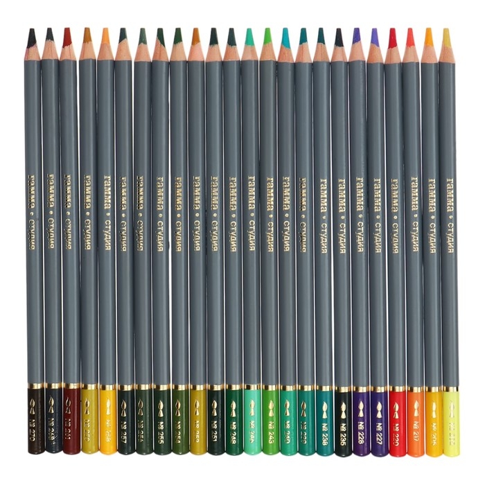 Карандаши акварельные Гамма  Карандаши акварельные Гамма "Студия" 72 цвета, грифель 3.8 мм, картонная коробка, 110822_72