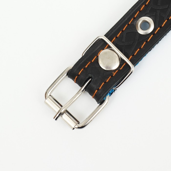 Ошейник кожаный усиленный капроном с полукольцом, 55 х 2,5 см, ОШ 27-53 см, чёрный Ошейник кожаный усиленный капроном с полукольцом, 55 х 2,5 см, ОШ 27-53 см, чёрный