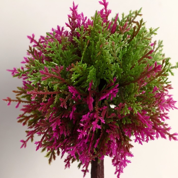 Бонсай в горшке Бонсай в горшке "Листочки-ёлочки" 20 см, микс