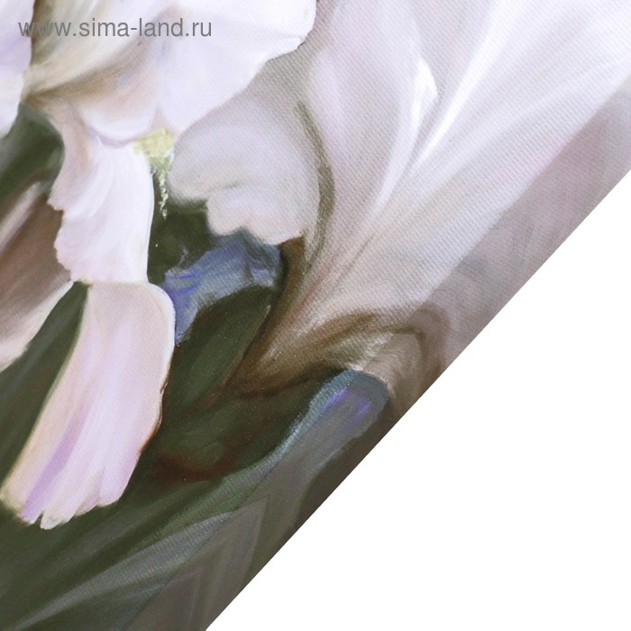 Картина-холст на подрамнике Картина-холст на подрамнике "Ирисы" 60х100 см