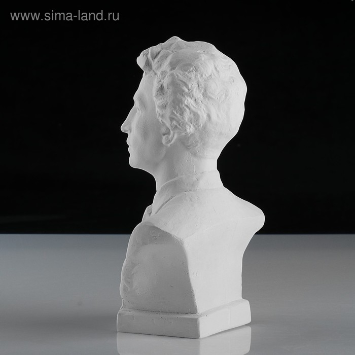 Гипсовая фигура известные люди: Бюст Блока, 12,5 x 7,5 x 19 см Гипсовая фигура известные люди: Бюст Блока, 12,5 x 7,5 x 19 см
