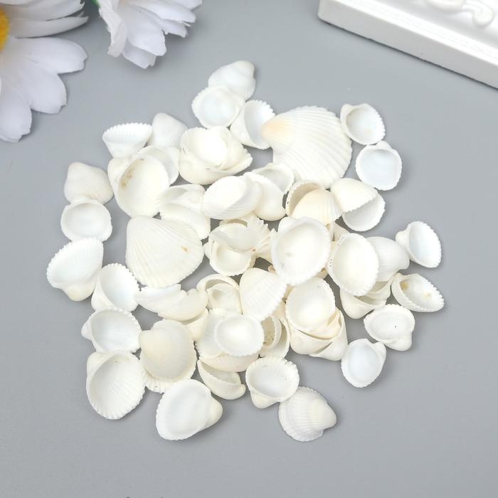 Декоративные ракушки  Декоративные ракушки "Clam Rose" 100 гр