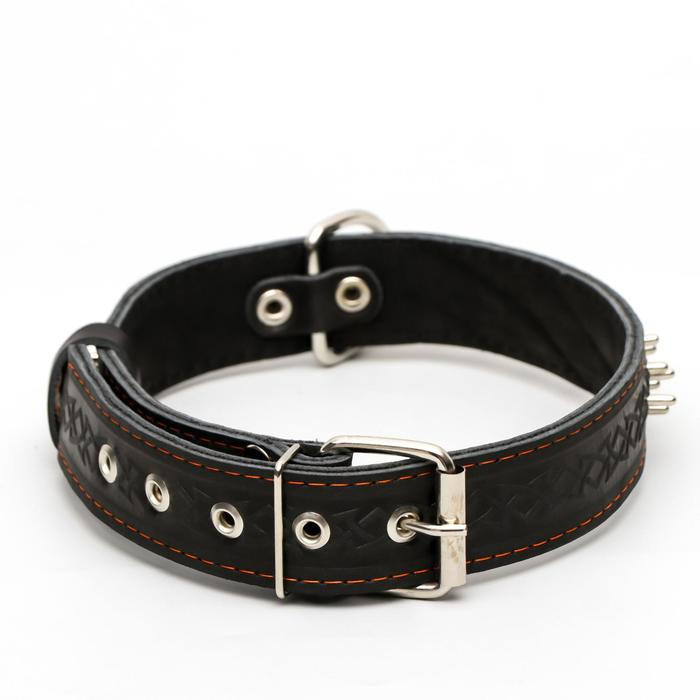 Ошейник кожаный двухслойный клёпаный Ошейник кожаный двухслойный клёпаный "Ёж", 65 х 3,5 см, ОШ 50-60 см, чёрный