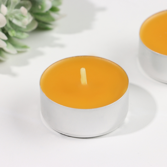 Набор чайных свечей ароматических Набор чайных свечей ароматических "Мёд", 3,8х1,6 см, 3,5 ч, 12 г, 6 штук