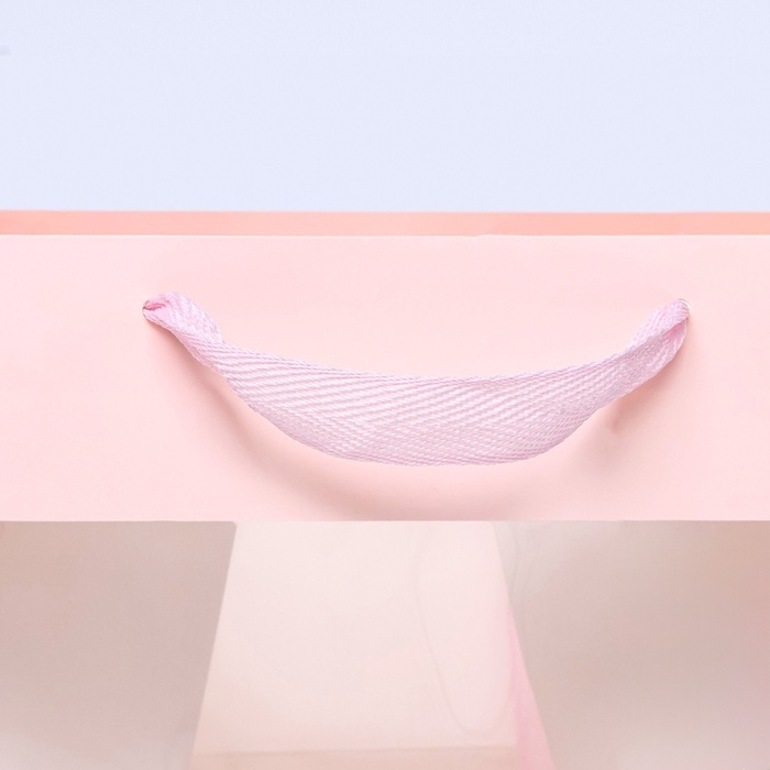 Пакет подарочный, крафт, с окном, «Розовый», 25 х 25 х 25 см Пакет подарочный, крафт, с окном, «Розовый», 25 х 25 х 25 см