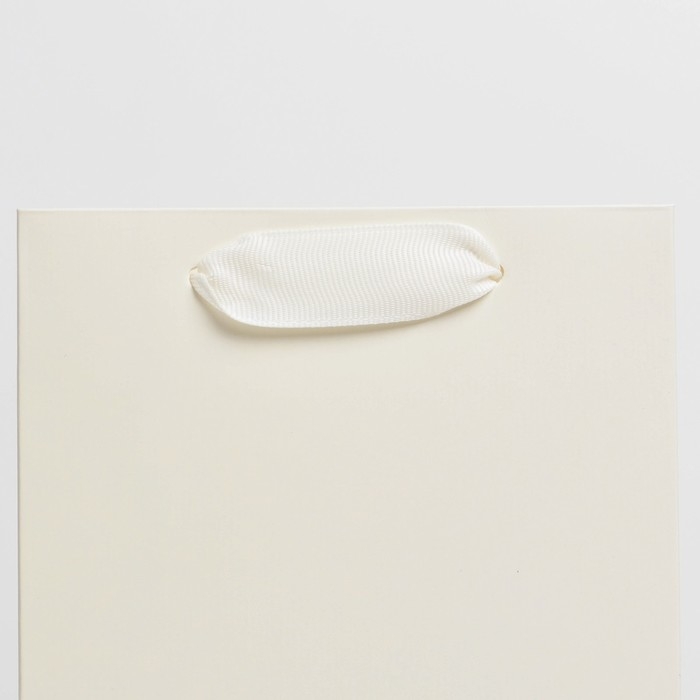 Пакет подарочный под бутылку, упаковка, «Молочный», 13 x 36 x 10 см Пакет подарочный под бутылку, упаковка, «Молочный», 13 x 36 x 10 см