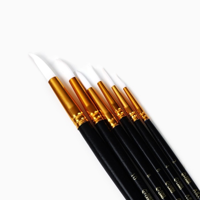 Кисть для рисования набор, синтетика круглые 6 штук «Текстура» № 2,4,6,8,10,12 Кисть для рисования набор, синтетика круглые 6 штук «Текстура» № 2,4,6,8,10,12