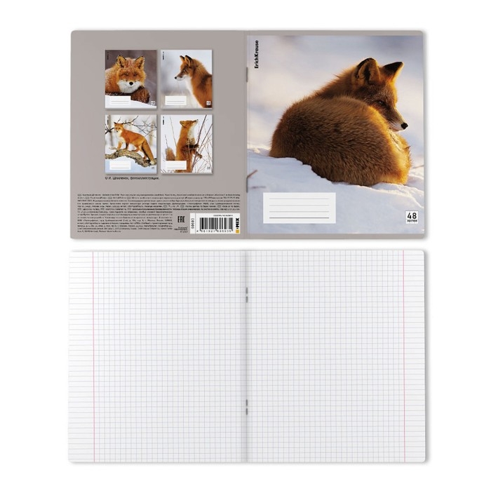 Тетрадь В5, 48 листов в клетку, ErichKrause Тетрадь В5, 48 листов в клетку, ErichKrause "Лисы", пластиковая обложка, блок офсет 100% белизна, МИКС