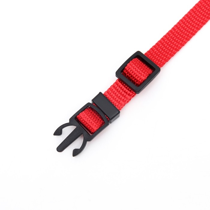 Ошейник кошачий Ошейник кошачий "Бантик" со стразами, 30 х 1 см, красный