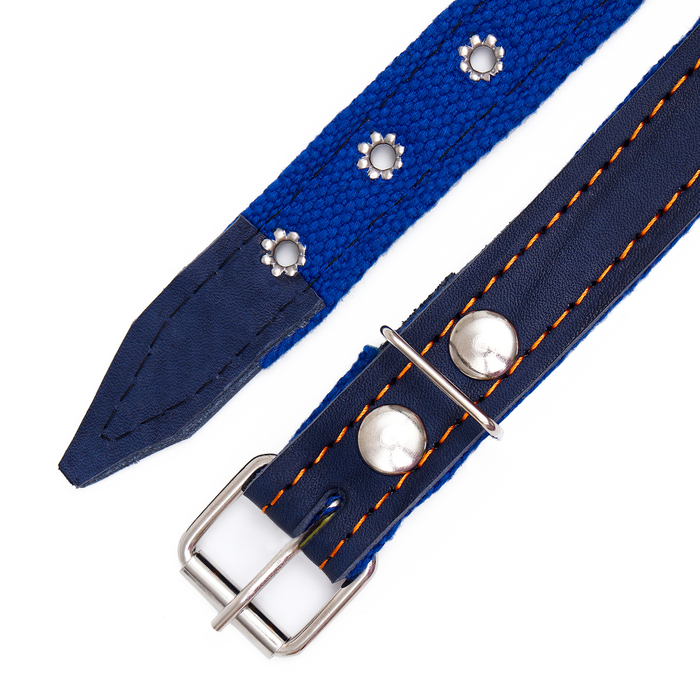 Ошейник комбинированный кожа/брезент, безразмерный, 56 х 2,5 см, ОШ 25-51 см, синий Ошейник комбинированный кожа/брезент, безразмерный, 56 х 2,5 см, ОШ 25-51 см, синий