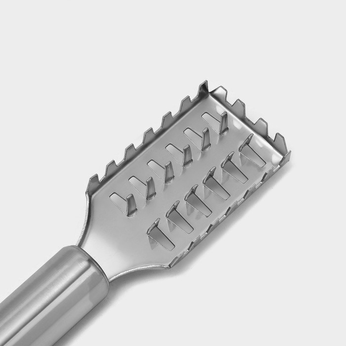 Рыбочистка Доляна «Металлик», 20 см, цвет серебристый Рыбочистка Доляна «Металлик», 20 см, цвет серебристый