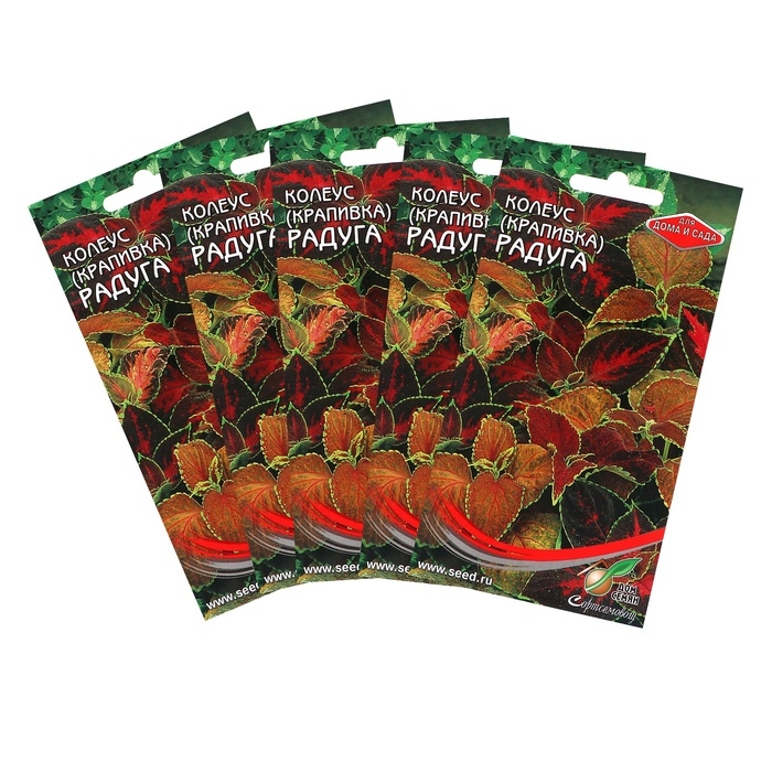 Семена комнатных цветов Колеус  Семена комнатных цветов Колеус "Блюма Радуга", набор 5 шт