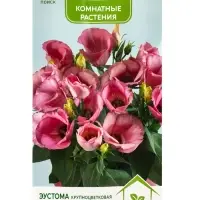 Семена цветов Эустома крупноцветковая Сюита Розовая, 5шт