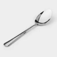 Набор столовых ложек Доляна &laquo;Оптима&raquo;, длина 19 см, набор 12 шт., нержавеющая сталь, серебристый