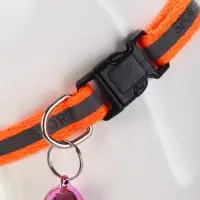 Ошейник "Спорт" со светоотражающей полосой, 31 х 1 см, оранжевый
