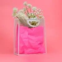 Пакет сумочка ПП с вырубной ручкой, прозрачный, 33×28×12 см, белый Пакет сумочка ПП с вырубной ручкой, прозрачный, 33×28×12 см, белый