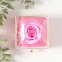 Шкатулка пластик "Роза в футляре" розовая 6,8х6,8х7,5 см