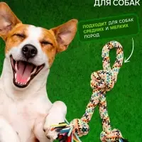 Игрушка для больших собак канатная &laquo;Двойной узел&raquo;, до 50 см, до 450 г