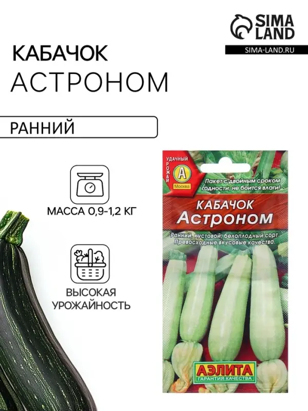 Семена Кабачок белоплодный &laquo;Астроном&raquo;, 1 г, ранний, &laquo;Аэлита&raquo;