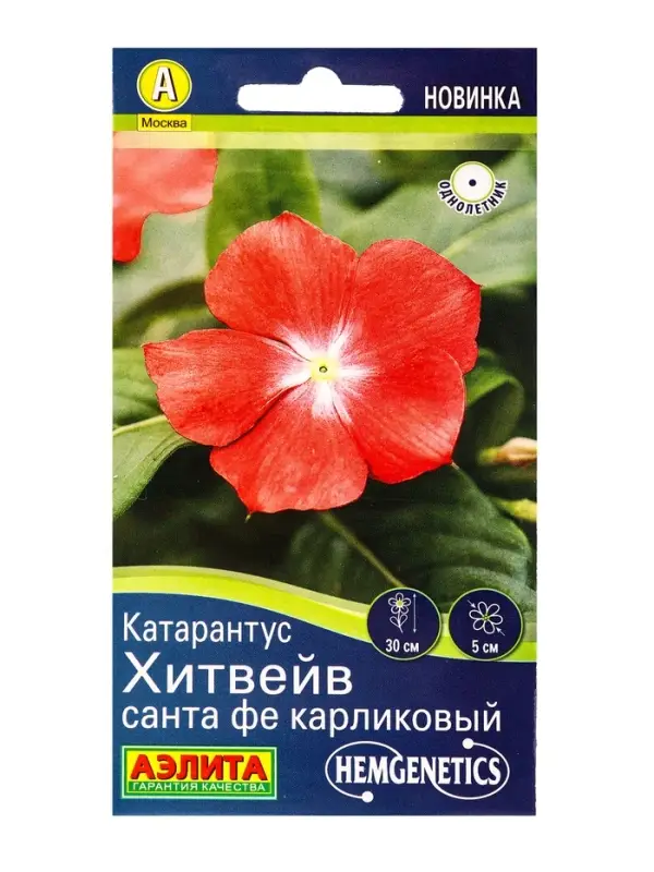 Семена цветов Катарантус Хитвейв санта фе карликовый Спецсерия Hem Genetics, Ц/П,5 шт. Семена цветов Катарантус Хитвейв санта фе карликовый Спецсерия Hem Genetics, Ц/П,5 шт.