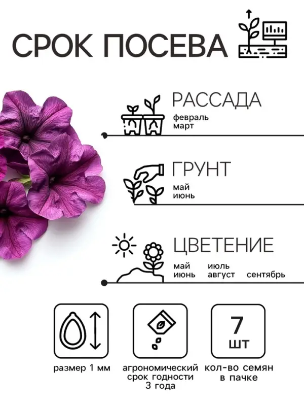 Семена цветов Петуния &laquo;Мамбо&raquo; F1 фиолетовая многоцветковая, 7 шт., однолетник, &laquo;Аэлита&raquo;