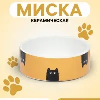 Миска &laquo;Удивление&raquo;, 230 мл, 12.5&times;4.5 cм, керамика, жёлтая