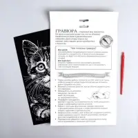 Гравюра &laquo;Котёнок&raquo; с металлическим эффектом &laquo;серебро&raquo; А4