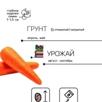 Семена на ленте Морковь &laquo;Дордонь&raquo;, F1, 6 м, &laquo;Престиж семена&raquo;