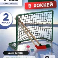 Набор для игры в хоккей (клюшка 2 шт., ворота 2 шт., шайба, мяч), МИКС