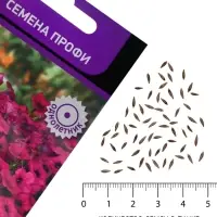 Семена цветов Петуния каскадная &laquo;Тайдал Вейв Парпл&raquo; 5 шт.