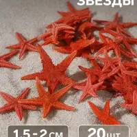Набор натуральных морских звезд, 1.5-2 см, 20 шт., красный