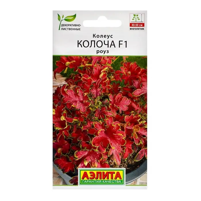 Семена цветов Колеус  Семена цветов Колеус "Колоча" F1 роуз, ц/п, 5 шт