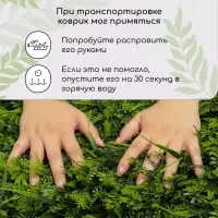 Декоративная панель, 40&times;60 см, &laquo;Разнотравье&raquo;, Greengo