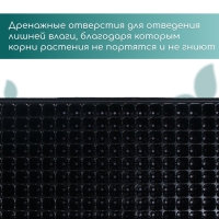 Кассета для выращивания рассады, на 200 ячеек, по 7 мл, из пластика, чёрная, 55 × 28 × 4 см, Greengo